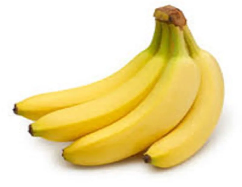 
Fresh style and tropical & sub-tropical fruit kind CAVENDISH BANANA 