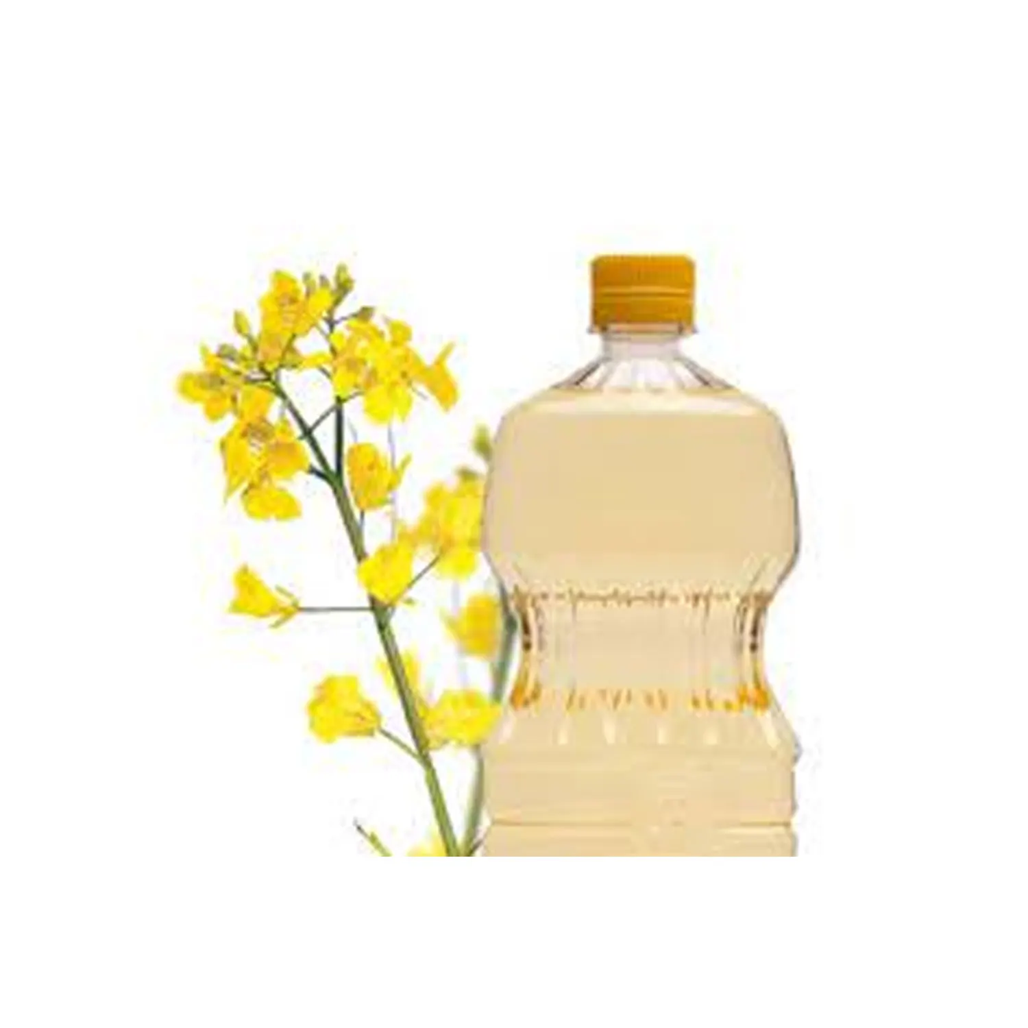 Рафинированное масло канолы по Заводской Цене/ISO/HALAL/HACCP, одобрено и сертифицировано