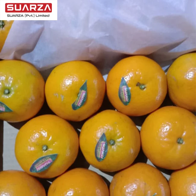 Refreshing flavor bulk fresh oranges from Pakistan