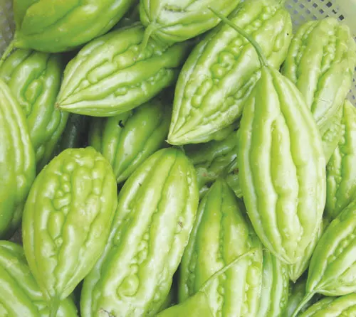 Vietnamese fruit tea New Dried Bitter Melon Slice Tea// Ms Sofia +84 789 946 878