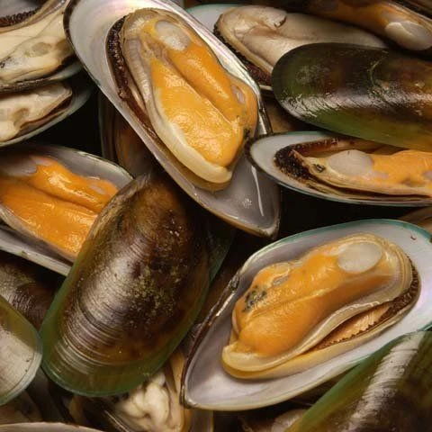 
Shellfish Dried/Frozen Half Shell Mussel Cheap Price 