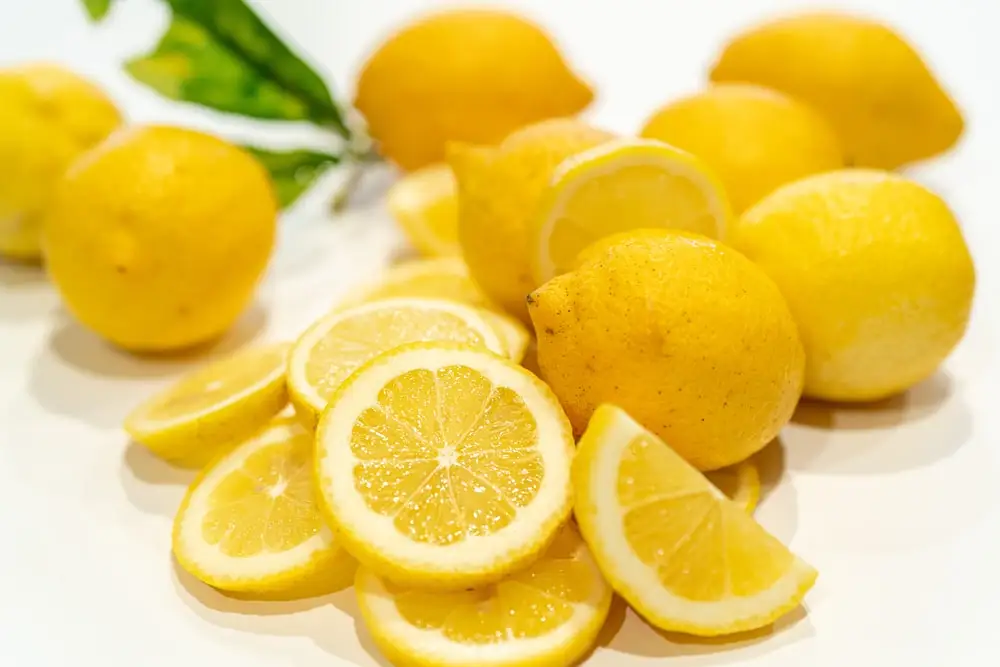 South Africa Wholesale Price High Quality Fresh Lemon