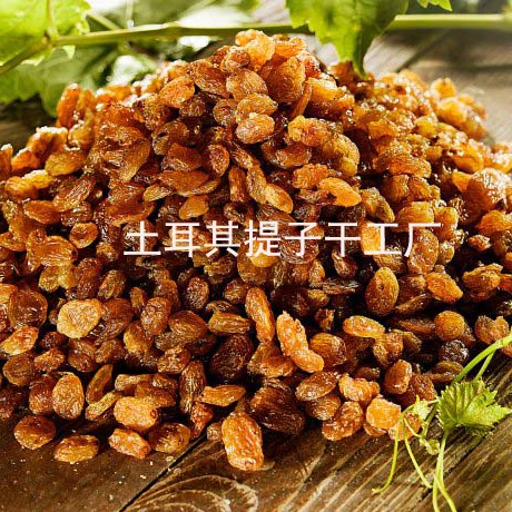 
Turkey dried raisin factory seedless 
