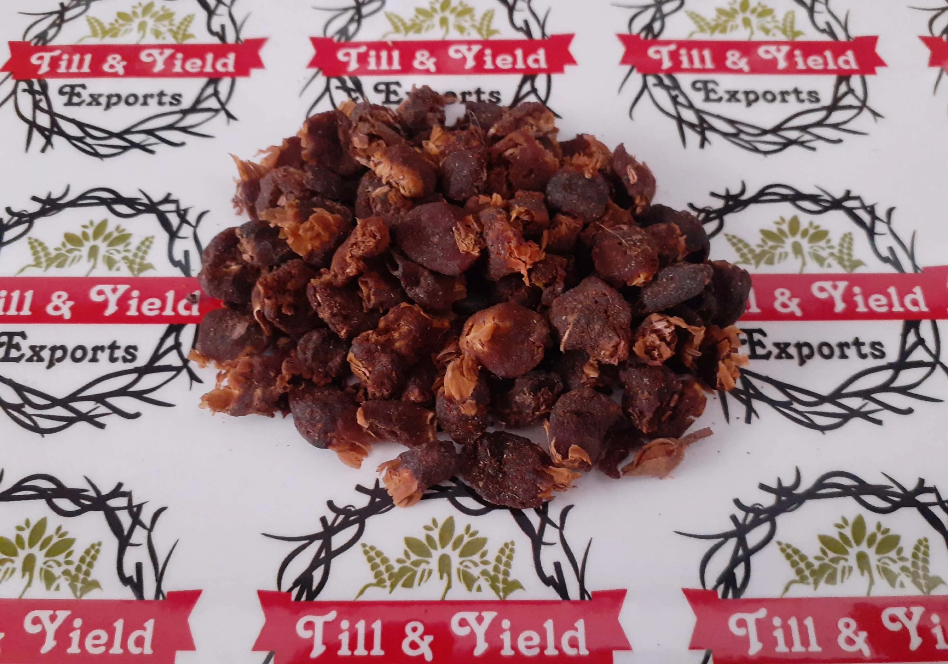 Indian Origin Herb Madhuca Longifolia Seed - Best Quality Mahua Seed Are Widely Used For Removing Intestinal Worms