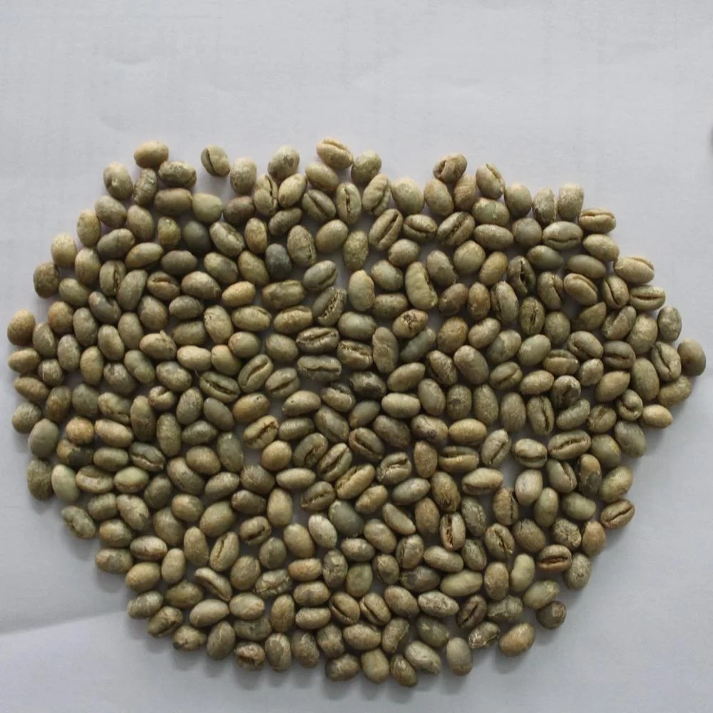 Top Selling Roasted Robusta Coffee Bean with High Quality Coffee Beans Wholesale Cheap Price From India