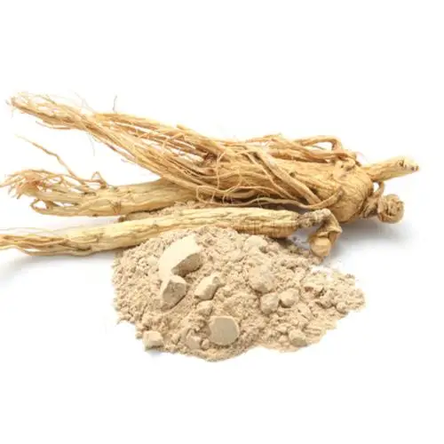 Shatavari Organic Powder also known as Asparagus racemosus
