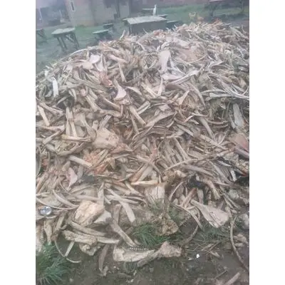 Хорошее качество, рога бычьей коровы и рога буйвола, доступны для продажи