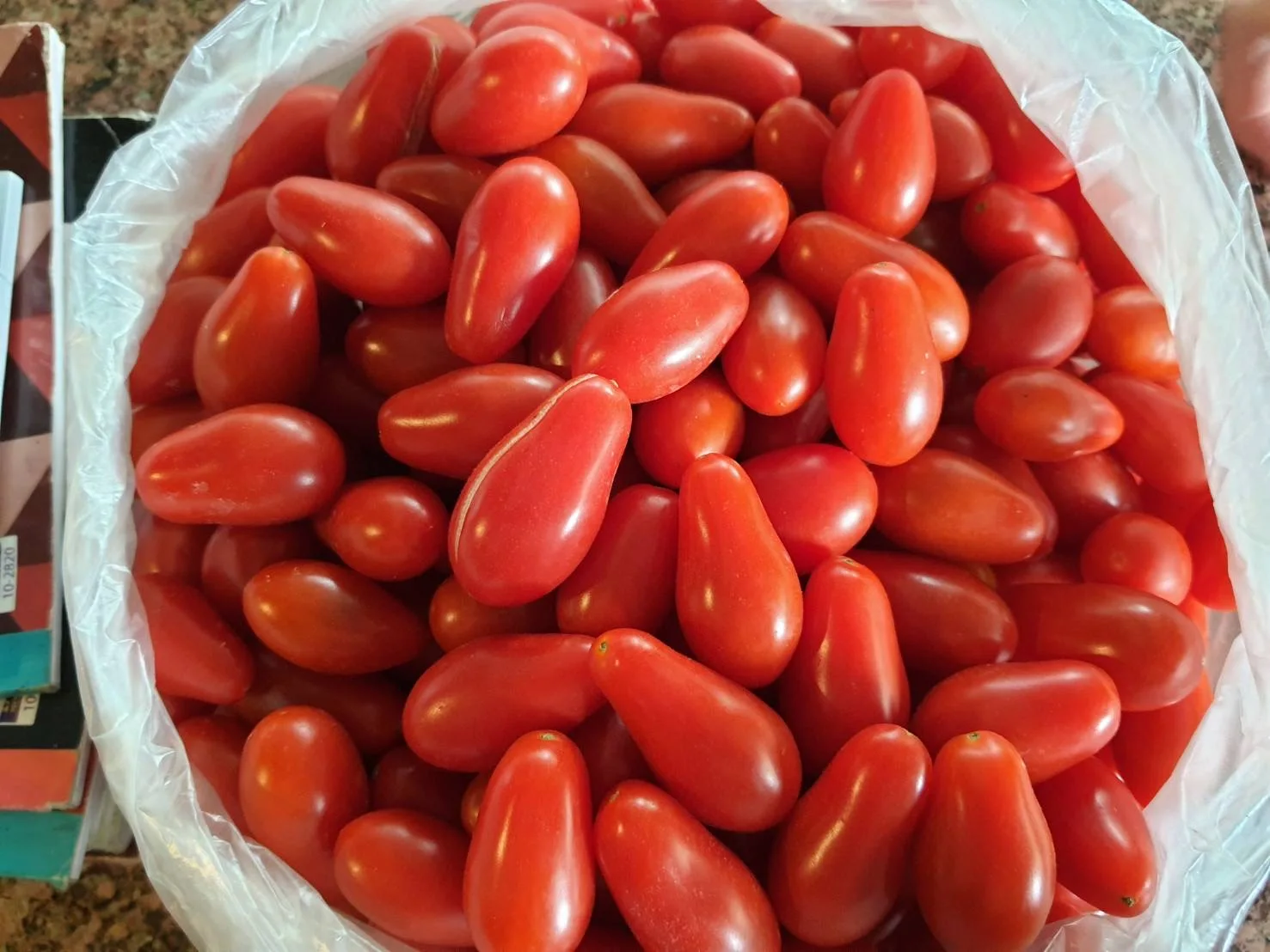 Cherry Tomatoes Roseberry by Thai Fresh Farm