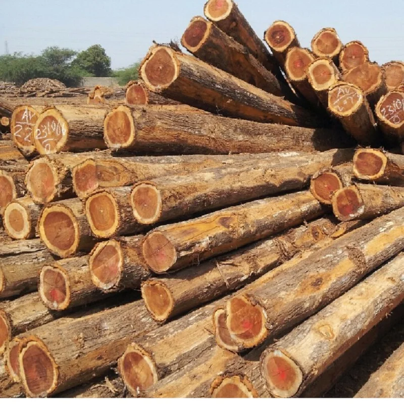 Timber and Oak Wood Logs