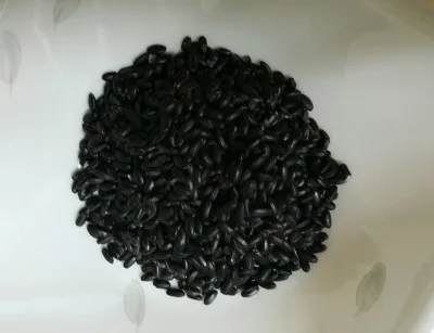  Черный рис с длинным зерном GAO NEP лидер продаж Круглый клейкий (мс Деми + 84 961 733 400)