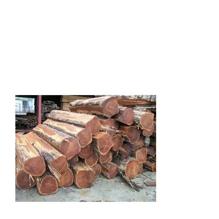 Sawn Timber logs/Beech Logs For Sale In Europe At Low cost.