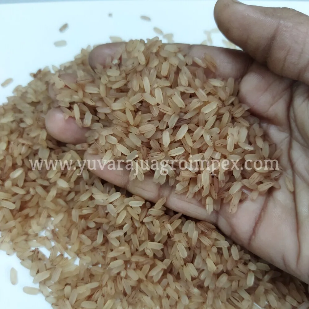 Short Grain Red Rice  Good Quality Rice / First Grade Quality Delicious Brown Rice Wholesalers in India