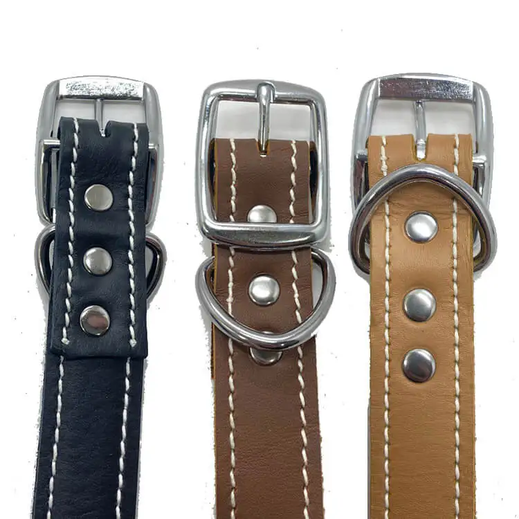 double layer dog collar 