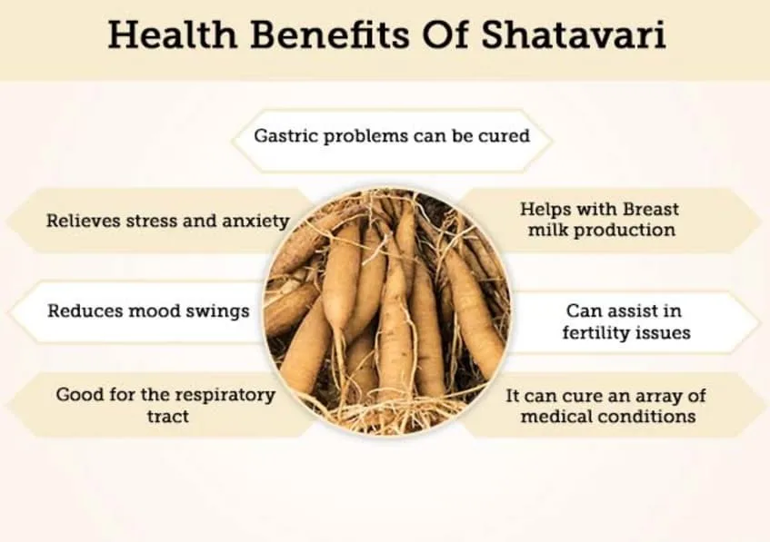 Shatavari Tablets Made for women with shatavari extract also known as Asparagus racemosus.