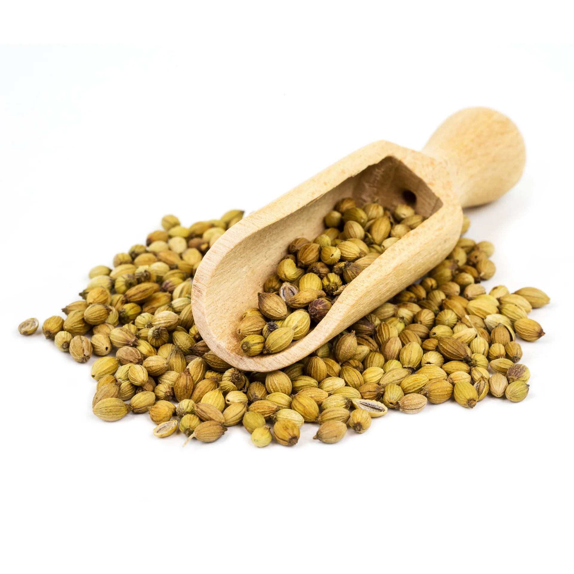 Coriander seeds - High quality