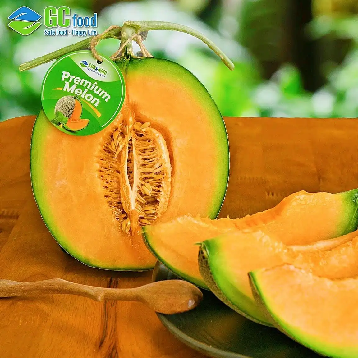 FRESH SWEET CANTALOUPE - Melon Sweet Organic Natural Fresh Fruits 100% Maturity from Viet Nam