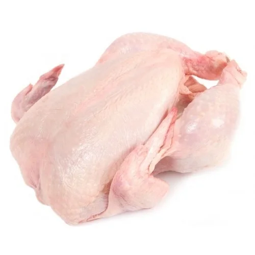 BEST QUALITY HALAL WHOLE FROZEN HEN CHICKEN.
