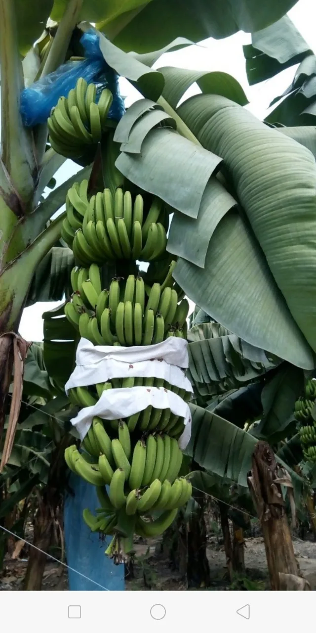 MicrosoftTeams-image (2).png