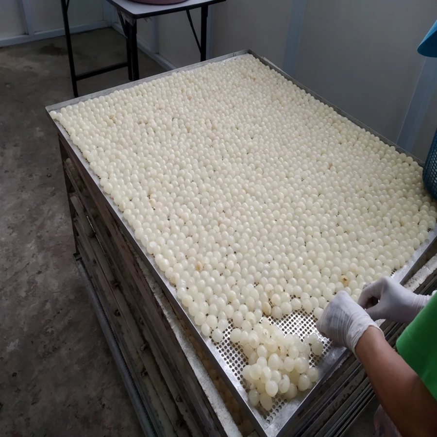 
High Quality Premium Product Bulk BALL Sweet Organic Dried Longan From Thailand 