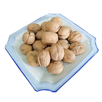 Wholesale Dried Walnuts raw Walnuts with shell
