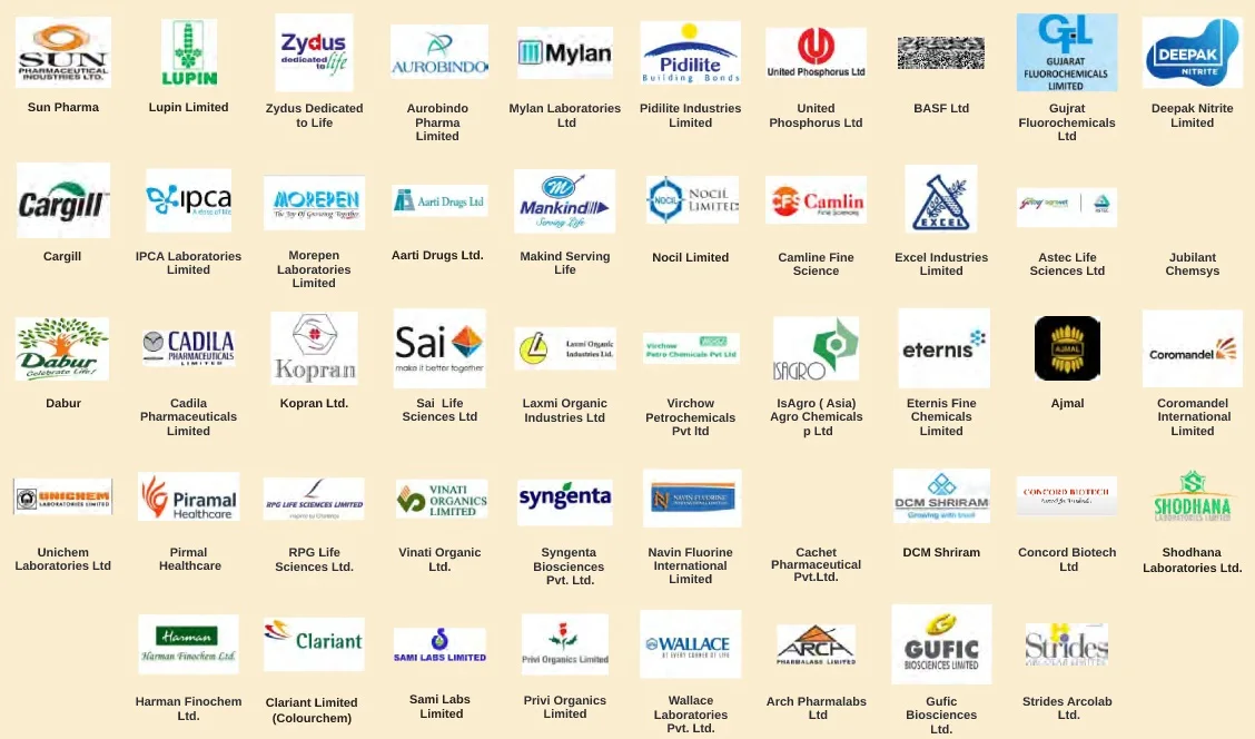 Pharma Grade Mirror Polished Finishing Customized Size Top Discharge Centrifuge Machine from Trusted Manufacturer