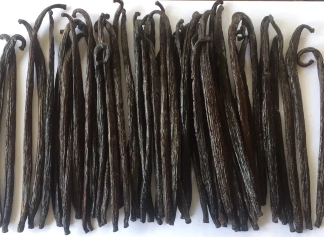 RENDAH TAHITENSIS GRADE-2 20-21.9 CM VANILLA BEANS for EXTRACTION Premium Quality Indonesian Papua Hot Selling with Best Price