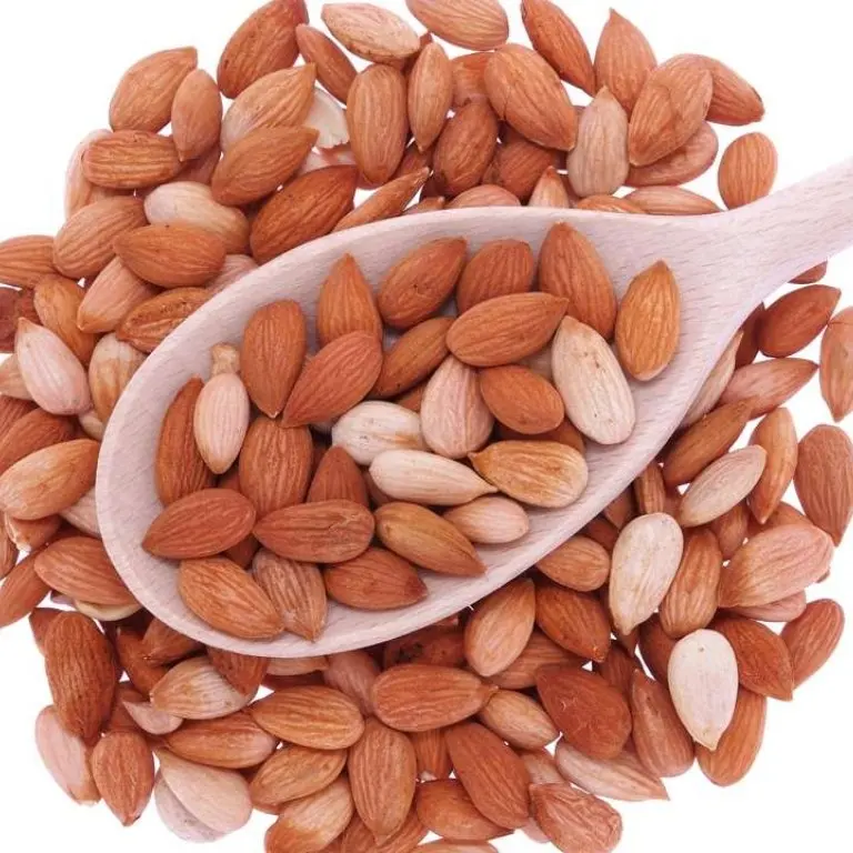 100% DRIED APRICOT KERNEL