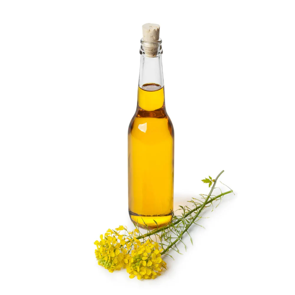 Quality rapeseed oil pure fat, from manufacturer canola oil