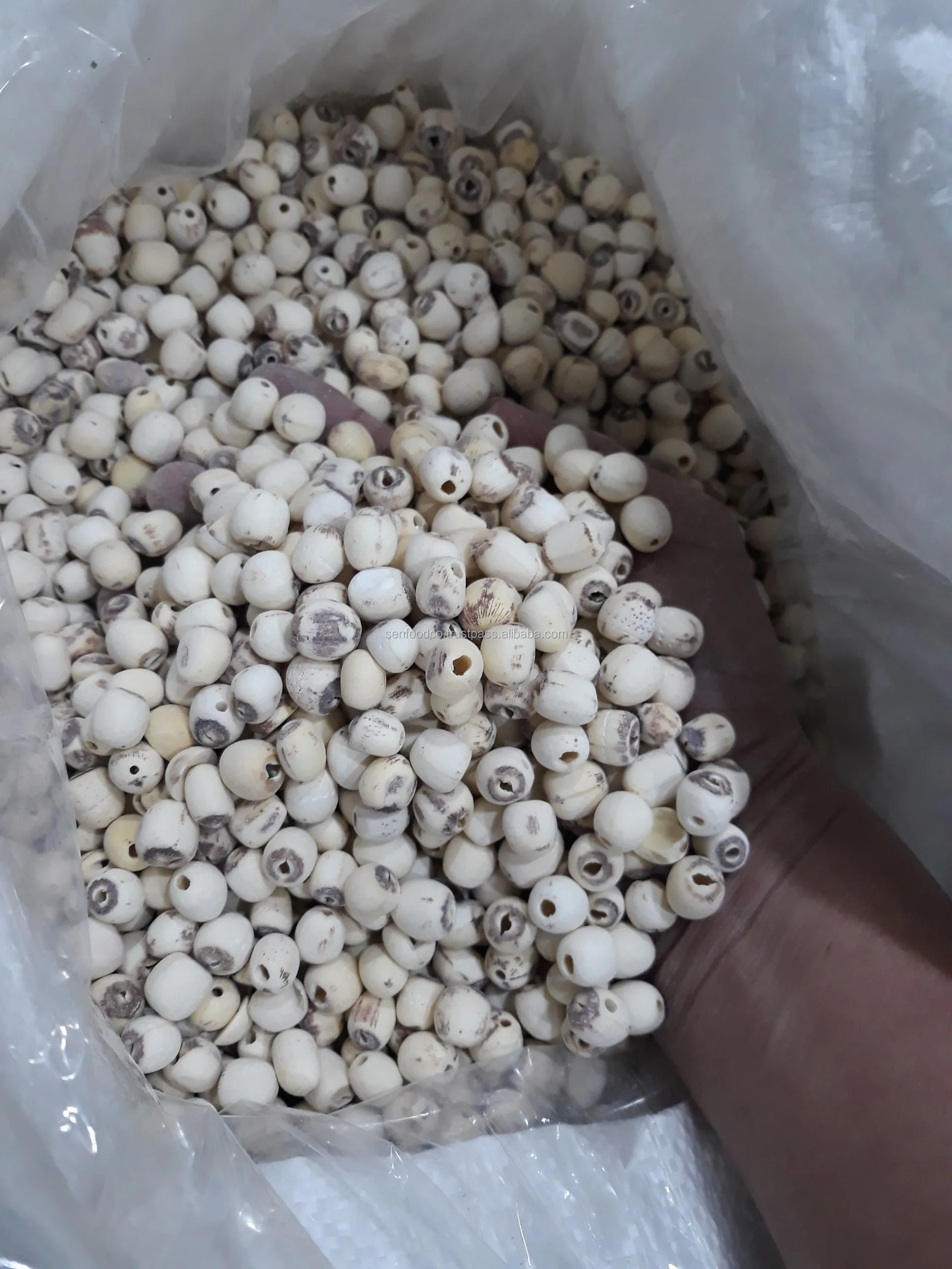 Семена черного/белого лотоса из Вьетнама whatsapp + 84934449569