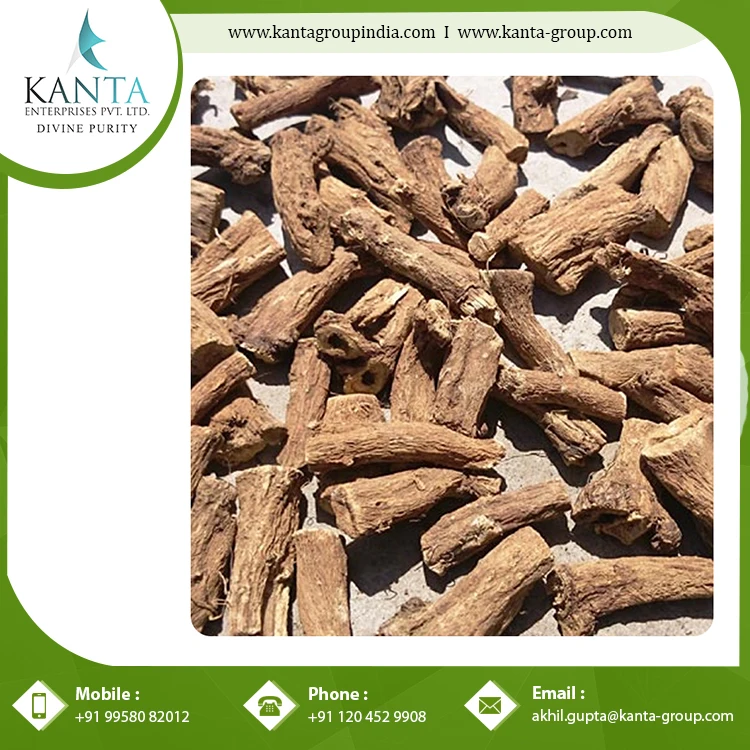 Best Costus Roots Essential Oil used as a Flavouring Component in Food and Beverages at Bulk Supplier Wholesale Price