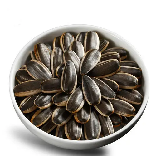 Inner Mongolia seeds sunflower seed