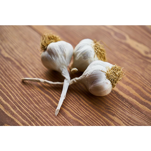 Garlic for Export / Fast delivery and Quick response / Wholesale from Vietnam