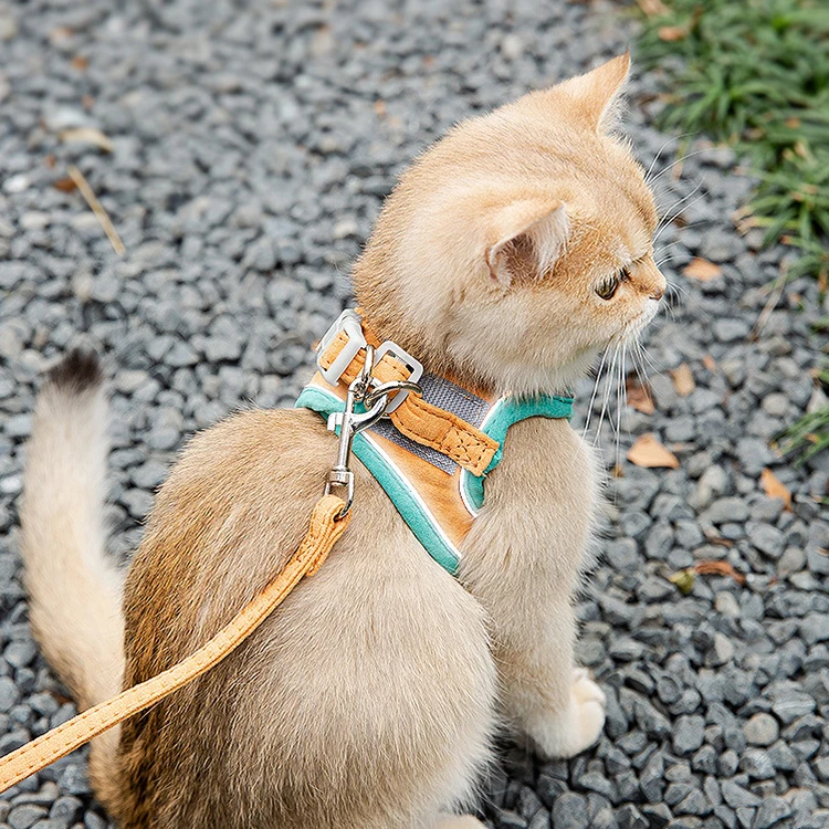 Adjustable Escape Proof Breathable Soft Suede Reflective Pet Lead Kitten Vest Cat Leash and Harness Set for Walking
