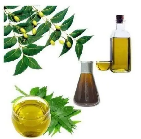 100% High Quality Neem Seed Extract Oil Water Soluble from Enviro Exports used to Spray Pesticides in Agriculture