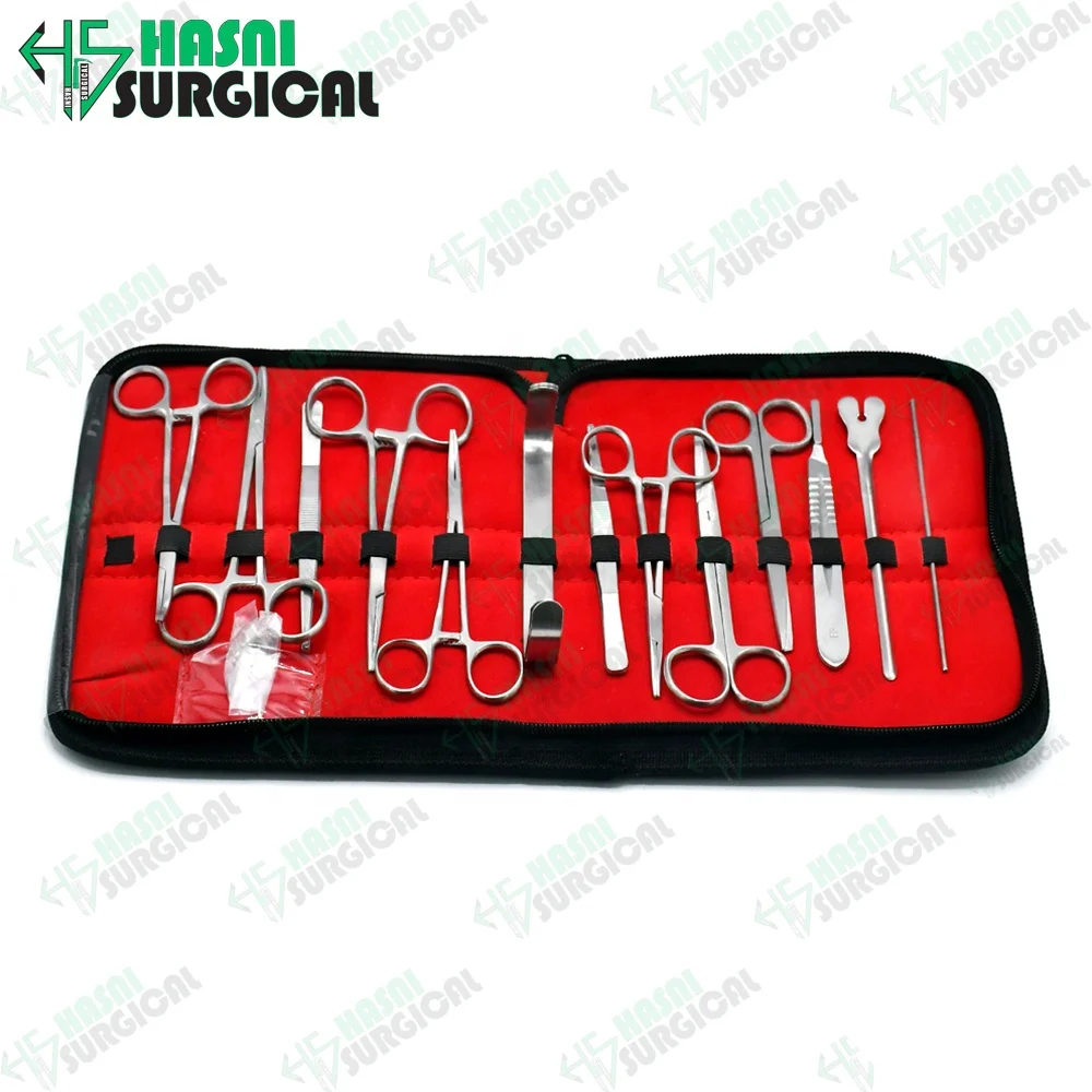 High Quality Fixed Power Handle Cannulas Set / Liposuction Luer Lock/ 60cc Toomey Hub