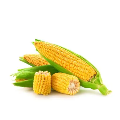 
Dry Yellow Corn for shipping Feed Grade Yellow Corn / Yellow Maize / Yellow Corn Grains