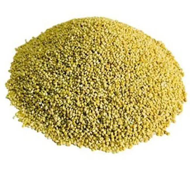 High quality Millet 2018 bird feed corn feed