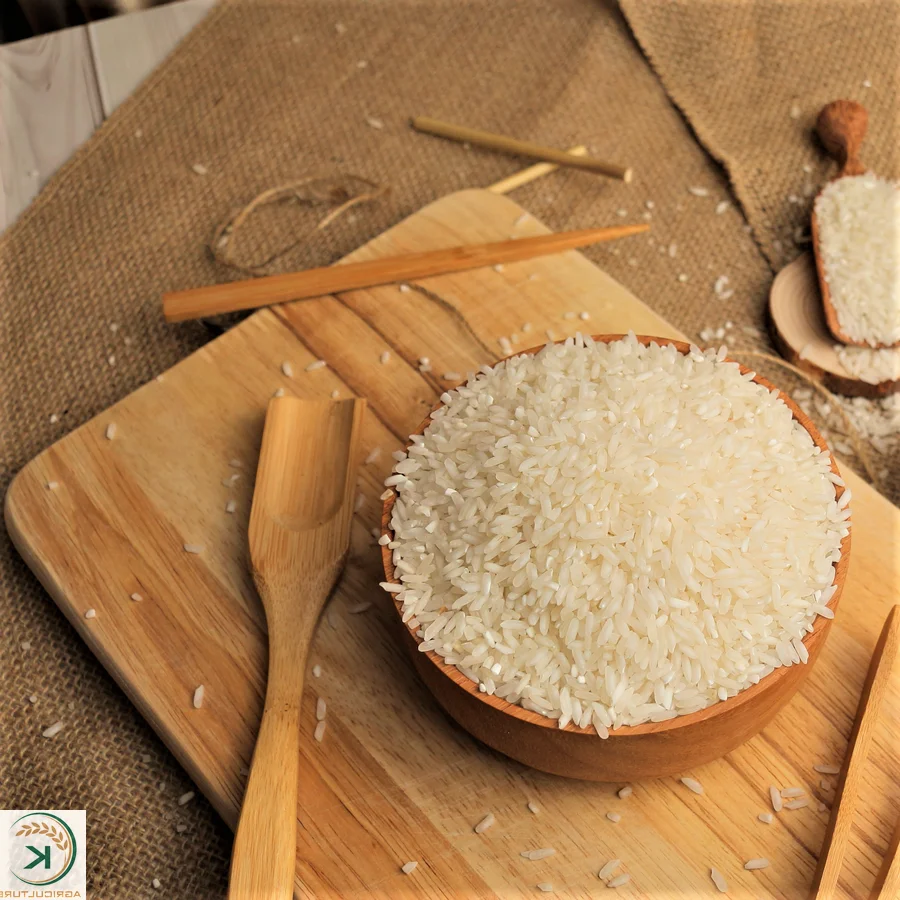 Well Milled ST24 Rice Vietnam Rice Top Choice Gluten Free