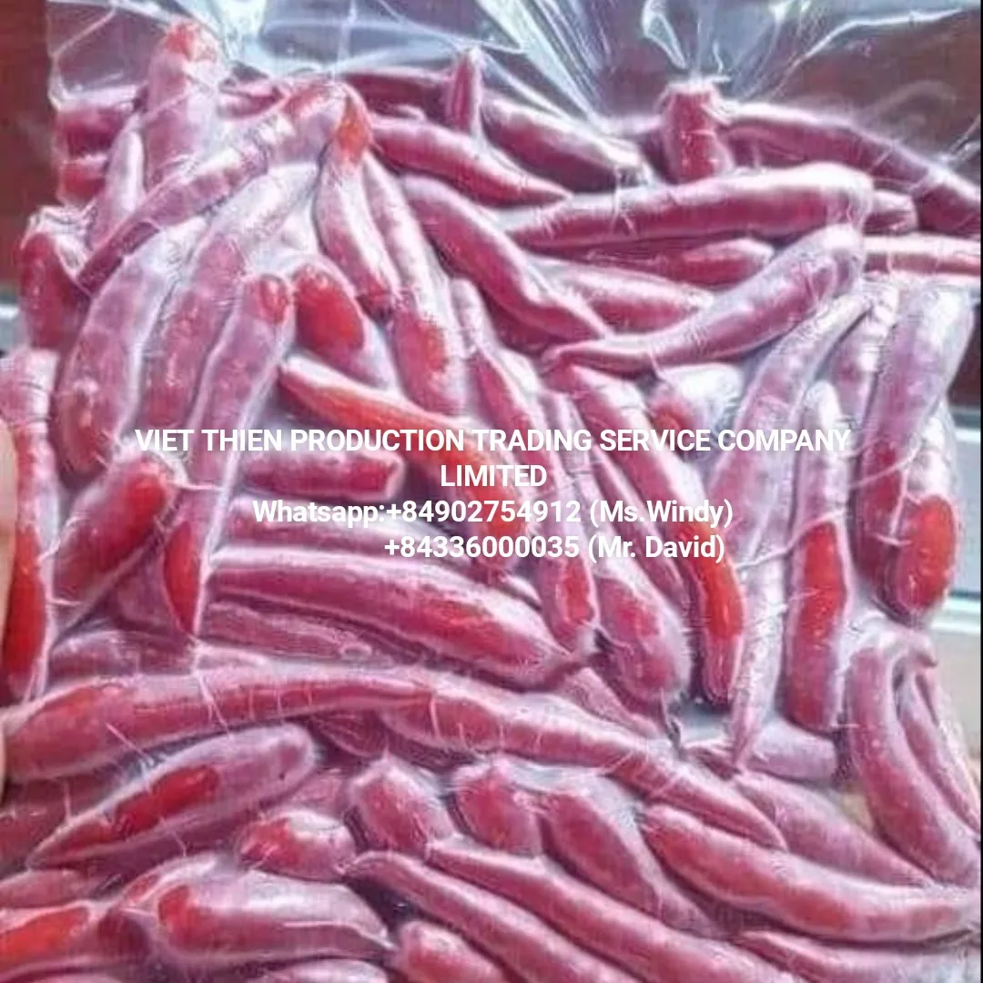 chili frozen wholesale in Vietnam with high quality and cheap price available in bulk meet export standard