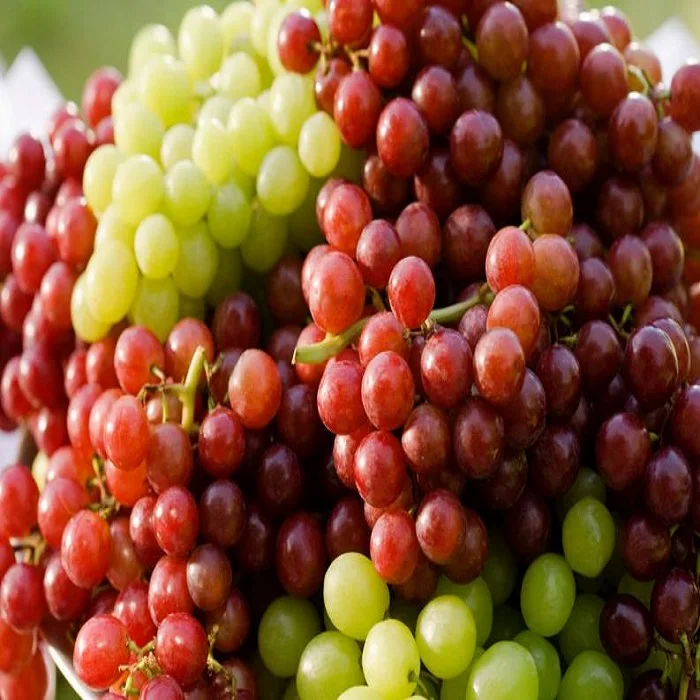 High quality Fresh Grapes for sale
