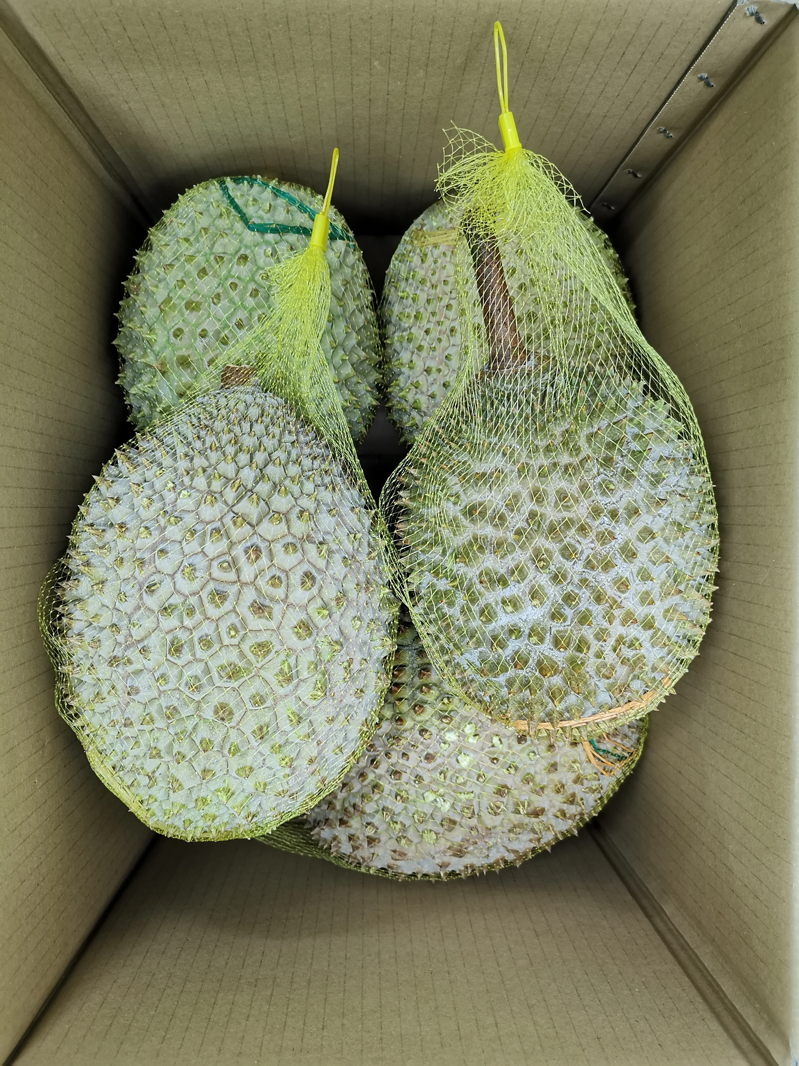 Malaysia fruits Premium frozen Mao Shan Wang Durian green skin golden yellow flesh d197 musang king