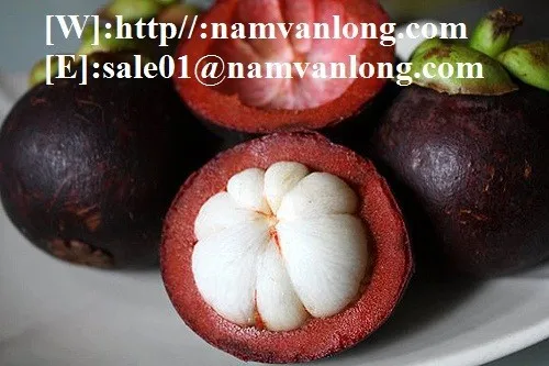  Новое поступление экстракта натурального мангостина/свежий мангостин в полиэтиленовом пакете/вьетнамский