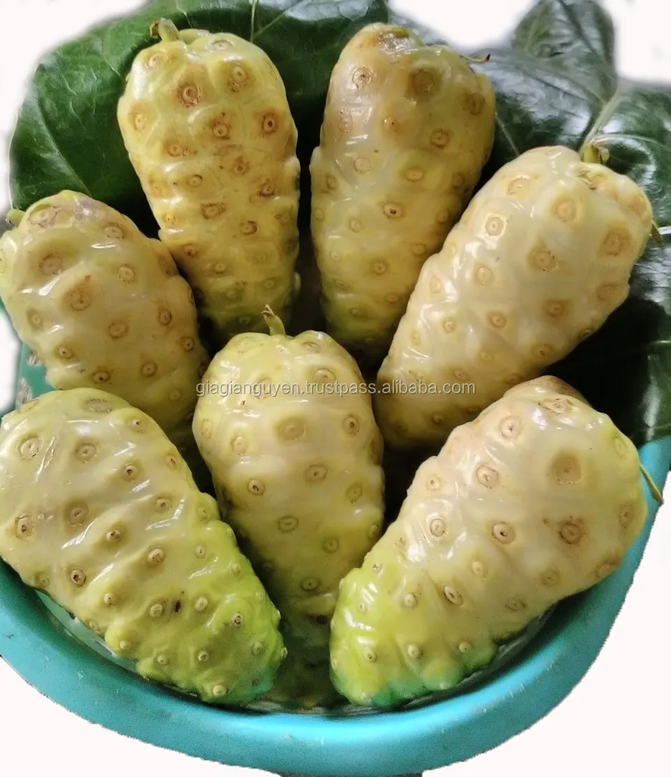 Noni фруктовый сок чистая здоровая добавка безалкогольный напиток/органический хороший вкус