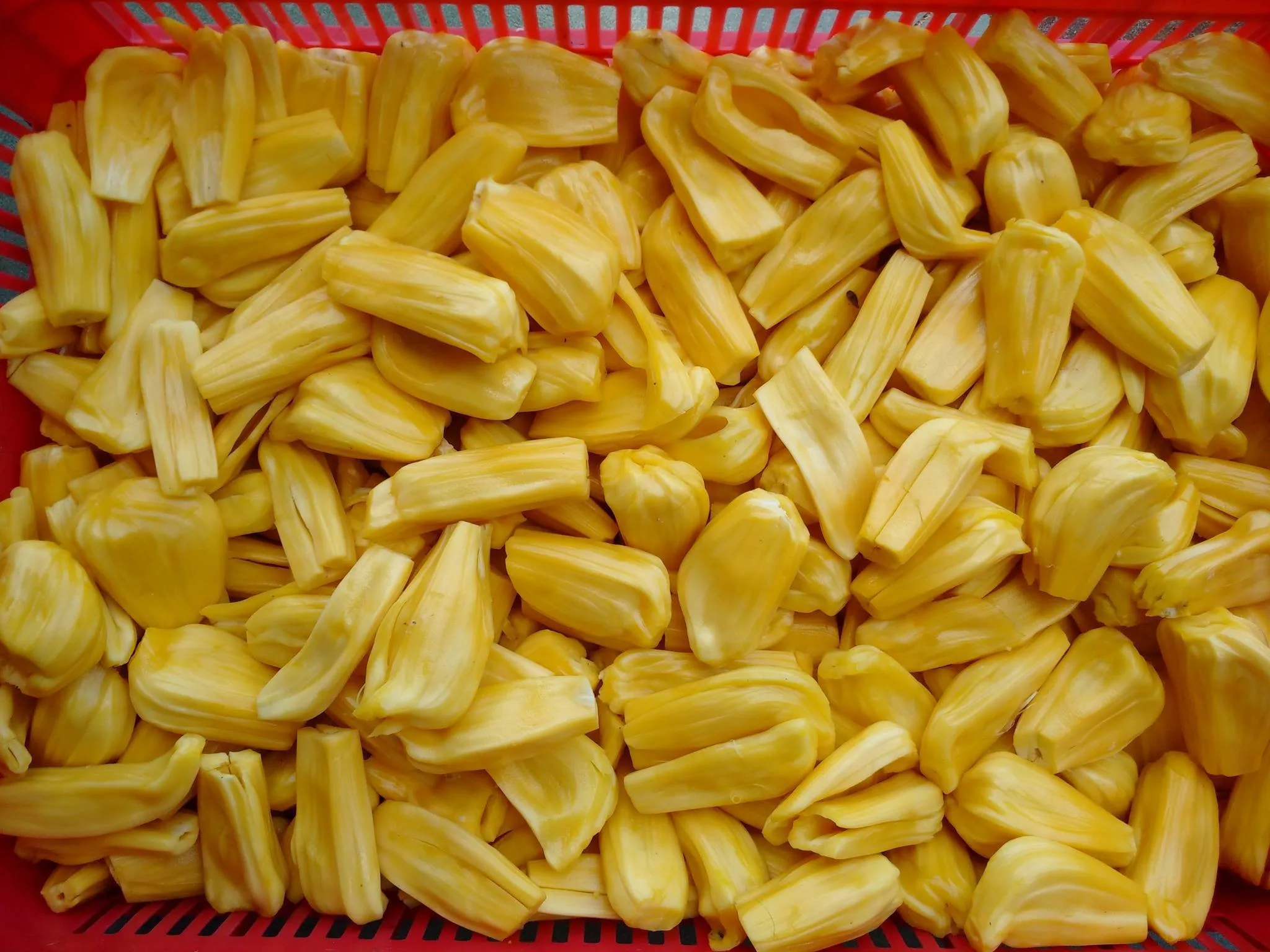 
IQF FROZEN JACKFRUIT WITH BEST PRICE FROM VIETNAM FOR ICE CREAM, DESSERT, SMOOTHIES 