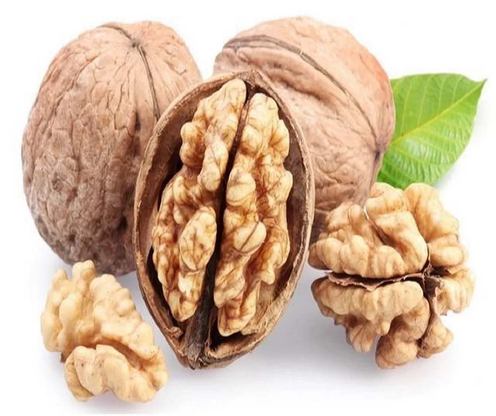 RAW/FRIED/BAKED/ROASTED WALNUT KERNELS