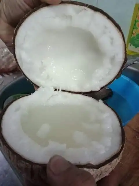 Высококачественный свежий кокос с картонной упаковкой помогает улучшить вашу кожу экспорт из Вьетнама