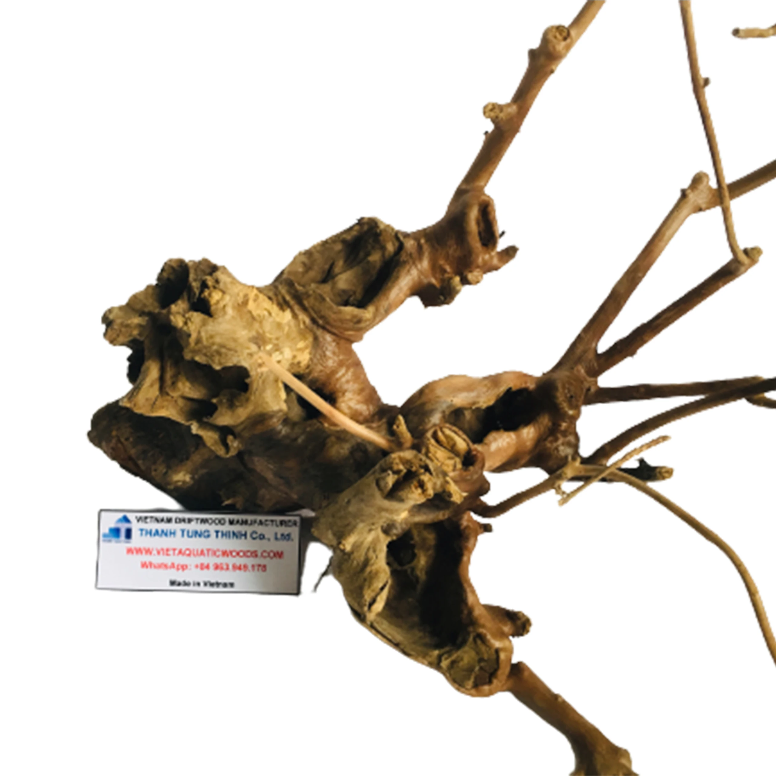 Wholesale 2022 natural aquarium driftwood for aquarium accessories WhatsApp: +84 963 949 178