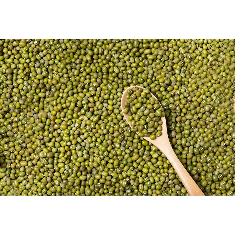 High Quality Dried Green Mung Beans