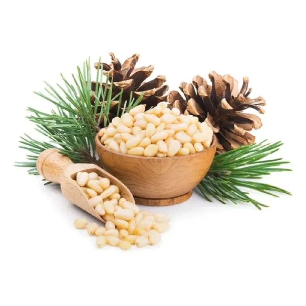 Сосновые орехи России