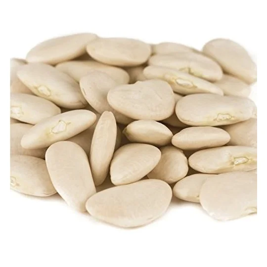 
High Quality Large Lima Beans Available For Sale 